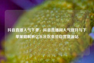 抖音直播人气下单，抖音直播间人气提升与下单策略解析亿乐社区低价自营货源站