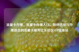 流量卡办理，流量卡办理入口，如何选择与办理适合的流量卡服务亿乐社区SUP货源站