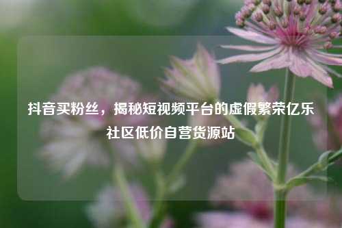 抖音买粉丝，揭秘短视频平台的虚假繁荣亿乐社区低价自营货源站  第1张