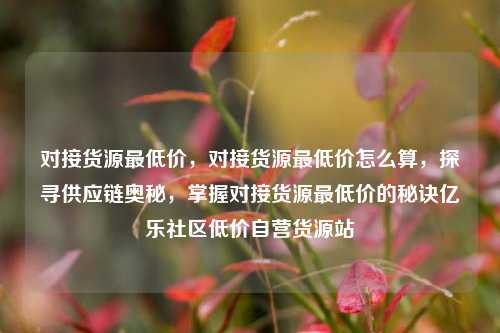 对接货源最低价，对接货源最低价怎么算	，探寻供应链奥秘，掌握对接货源最低价的秘诀亿乐社区低价自营货源站  第1张