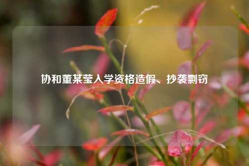 协和董某莹入学资格造假、抄袭剽窃  第1张