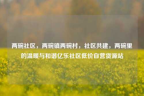 两碗社区，两碗镇两碗村	，社区共建，两碗里的温暖与和谐亿乐社区低价自营货源站  第1张
