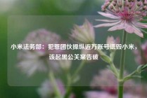 小米法务部：犯罪团伙操纵近万账号诋毁小米，该起黑公关案告破