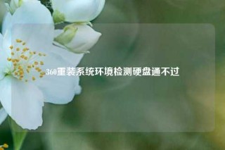 360重装系统环境检测硬盘通不过