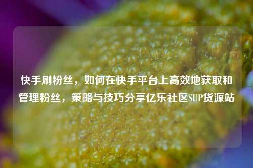 快手刷粉丝	，如何在快手平台上高效地获取和管理粉丝，策略与技巧分享亿乐社区SUP货源站  第1张