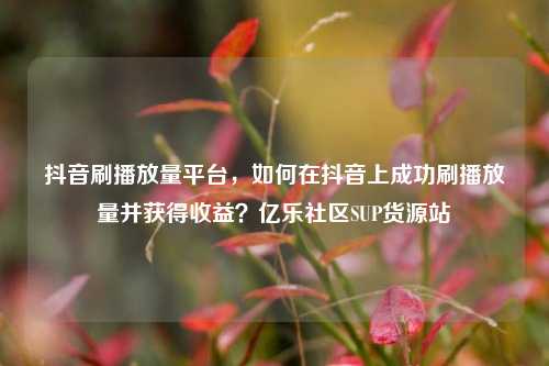 抖音刷播放量平台	，如何在抖音上成功刷播放量并获得收益？亿乐社区SUP货源站  第1张